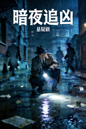 悬疑剧《暗夜追凶》封面，侦探在雨夜中调查神秘案件的场景